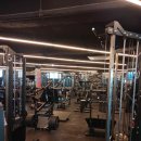 영앤짐 헬스&PT 광명하안점 이미지