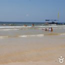 대천해수욕장 이미지