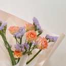 버들초등학교 이미지