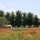 케논목장 이미지