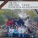 뉴랜드알로에서신