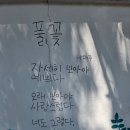 공주 1박2일 여행코스 추천｜나태주 풀꽃문학관·공산성·무령왕릉 감성 여행 후기