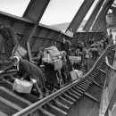 엘베강독일 이미지