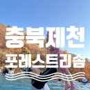 해브허브 | [충북 제천] 제천 포레스트리솜 해브나인스파 이용요금 및 할인정보 / 야외 스톤스파 이용꿀팁