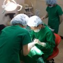 미주치과병원 이미지