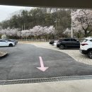 델빠네(오월드)