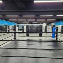 박달복싱 이미지