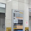 양양군보건소 | 결혼 후 임신 준비의 첫걸음 보건소 결과 그리고 산부인과 방문 마마파파&amp;베이비 (산전검사_2)