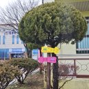 백운면사무소 이미지