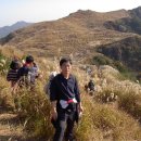 화왕산 Daum카페