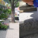 해운대 장애인 근로사업장 이미지