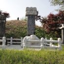 이해수선생묘 이미지