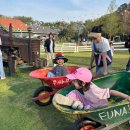 마당목장 | 경기도 여주 아이와 가볼만한 곳 은아목장 세 번 가본 후기