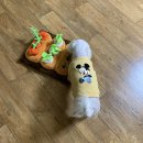 윤식농장 이미지