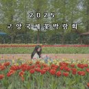 CU 정발산마을점 | 2025 고양국제꽃박람회 입장권 할인 주차 이벤트 볼거리 후기 총정리
