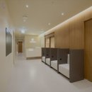 미소라인성형외과의원 | [강남 강남구 성형외과 추천] 비올라셀성형외과의원 비올라셀, 고객 맞춤 시술로 인기