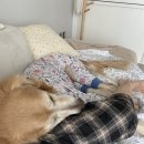 토리네민박 이미지