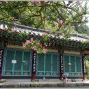 삼성각 이미지