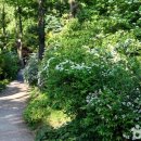 호암미술관 이미지