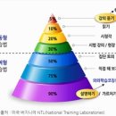 메타인지