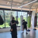 복싱 그 자체 이미지