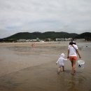 바다갯벌펜션민박 이미지