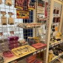 종로베스트의원 | 종로 위고비 가격 · 마운자로 가격 정보 정리 (종로가톨릭의원·필모어의원 등)