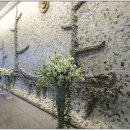 분당요한성당 이미지