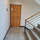 강남-266 이미지