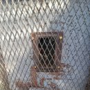 기창농장 이미지