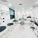 스카이 애견 이미지