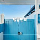 달콩민박 | [포항 여행] 포항 에어비앤비 달콩민박 (포항 가족 독채 펜션 구룡포 근처)