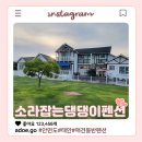 안면도 애견 동반 가능한 소라잡는댕댕이펜션 후기