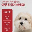 새로운건강케어 | [오닥(ODAC)] 강아지 간 영양제 오버츄어 리비 웰니스 | 강아지 간 건강 케어 솔직후기