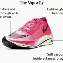 운동화박사 이미지