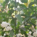 샘물다방 이미지