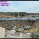 중앙초등학교화남분교 이미지