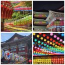부산 삼광사 연등 야경, 부처님오신날 감성 끝판왕! (낮밤 비교 후기)
