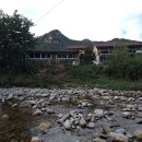 여우목로 이미지