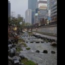 파루스셀라종로