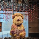 드림휘트니스클럽 | 제주시 뷰맛집 숙소 추천 그랜드 하얏트 제주 (feat. 커넥팅 룸 , 클럽 라운지 , 피트니스 , 수영장 )