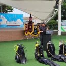 특수임무유공자회 | [연합투데이]대한민국특수임무유공자회 인천지부, '2024년 나라사랑 바다사랑 수중 . 수변 정화 활동...