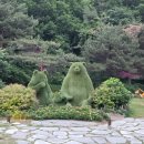 [강릉 가볼만한곳] 강릉 솔향수목원 강릉 가볼만한 곳 추천
