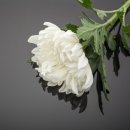 의료법인 성화의료재단 | 강북구 대한병원장례식장에서 정직했던 삶과의 마지막 인사를 드린 장례 후기