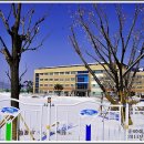 영해중학교 이미지