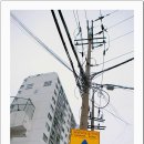 동명초등학교 이미지