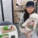 워너비독 이미지