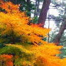 부산어린이대공원 이미지