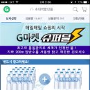 진로석수