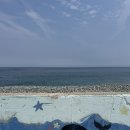 포항시북구7 | 포항 영덕 오션뷰 숙소 단체 펜션 해사랑펜션 별관 연박후기